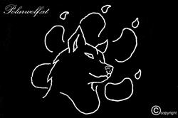 Polarwolf.at