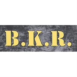 B.K.R. Rene Krisam
