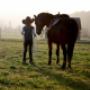 Lucky Horse Ranch