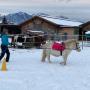 Lucky Horse Ranch