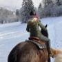 Lucky Horse Ranch
