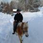 Lucky Horse Ranch
