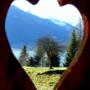 Ausblick zum See Ausblick zum See