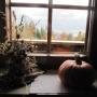 Ausblick zum See Ausblick zum See
