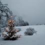 Weihnachten auf dem Buchberg Weihnachten auf dem Buchberg