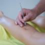 Fink & Partner Massage KG - Massage & Trainings Stützpunkt Fink & Partner Massage KG - Massage & Trainings Stützpunkt
