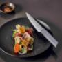Swiss Modern Chef Messer Swiss Modern Chef Messer