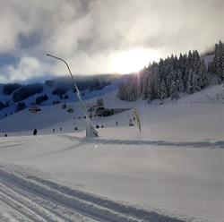Tischlerhütte