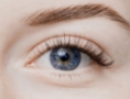 Lashes