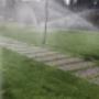 ESM Gartengestaltung
