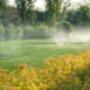 ESM Gartengestaltung
