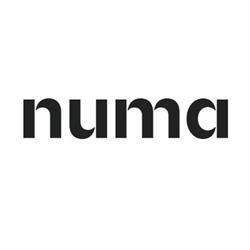 numa | Ivy