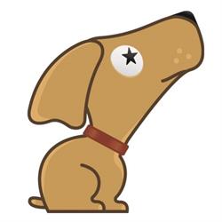 Hundebetreuung Best Friend - Schwendt
