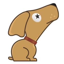 Hundebetreuung Best Friend - Schwendt