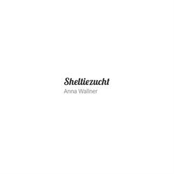 Sheltiezucht - Anna Wallner