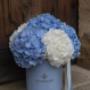 Elegante Hortensien-Flowerbox in Hellblau & Weiß von Fleuroom Wien. Liebevoll arrangiert in Geschenkbox – ideal für Jubiläum, Hochzeit oder Firmenevent. Jetzt vorbestellen: Click & Collect oder Lieferung in Wien & Umgebung.