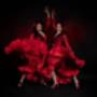 academia flamenca las hermanas Graz las hermanas