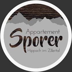 Appartement Sporer in Hippach