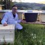 Arthur Walch und die glücklichen Bienen