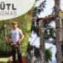 Baumabtragung-Holzschlägerung-Heckenschnitt - Thomas Gütl