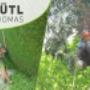 Baumabtragung-Holzschlägerung-Heckenschnitt - Thomas Gütl