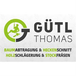 Baumabtragung-Holzschlägerung-Heckenschnitt - Thomas Gütl