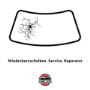 Windschutzscheiben Reparatur