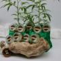 CBD Blüten Probierpaket