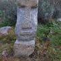 Face
