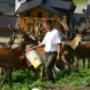 Gasthof Kleefeld Wildtierpark