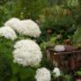 # 30