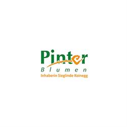 Pinter Blumen - Sieglinde Koinegg