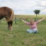 VG Horse Class - Veronika Gerics