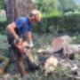 Raphael Wutte Haus und Gartenservice 9722 Weißenstein