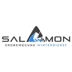 Salamon Erdbewegung und Winterdienst