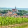 ÖTK-Sektion Retzer Land-Thayatal