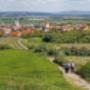 ÖTK-Sektion Retzer Land-Thayatal