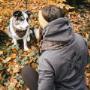 Setangebot - Schal, Stirnband und Hunde-Bandana
