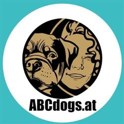 Andrea Hanacek ABCdogs.at tierschutzqualifiziertes MOBILES HUNDETRAINING