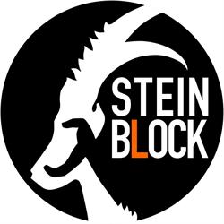 Steinblock Boulderhalle Dornbirn