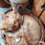 Mia und Lilli