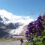 Großglockner Pasterze