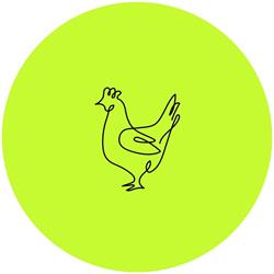 Chickroom Interior Design