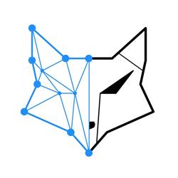 datafox consulting GmbH