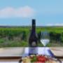 Picknick im Weingarten