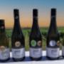 Sunset Tasting 2024