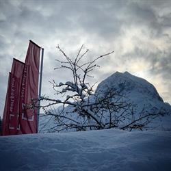 sport.park.lech