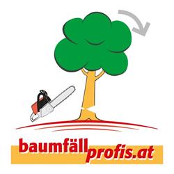 Baumfällprofis