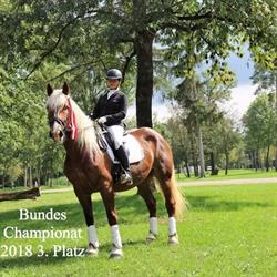 Silvia Gastager Reit- und Fahrbetrieb