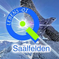 Lebens-Qi